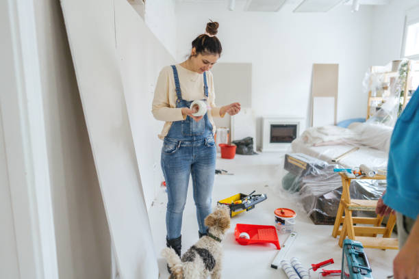 Best Ceiling Drywall Installation  in Wellsville, MO